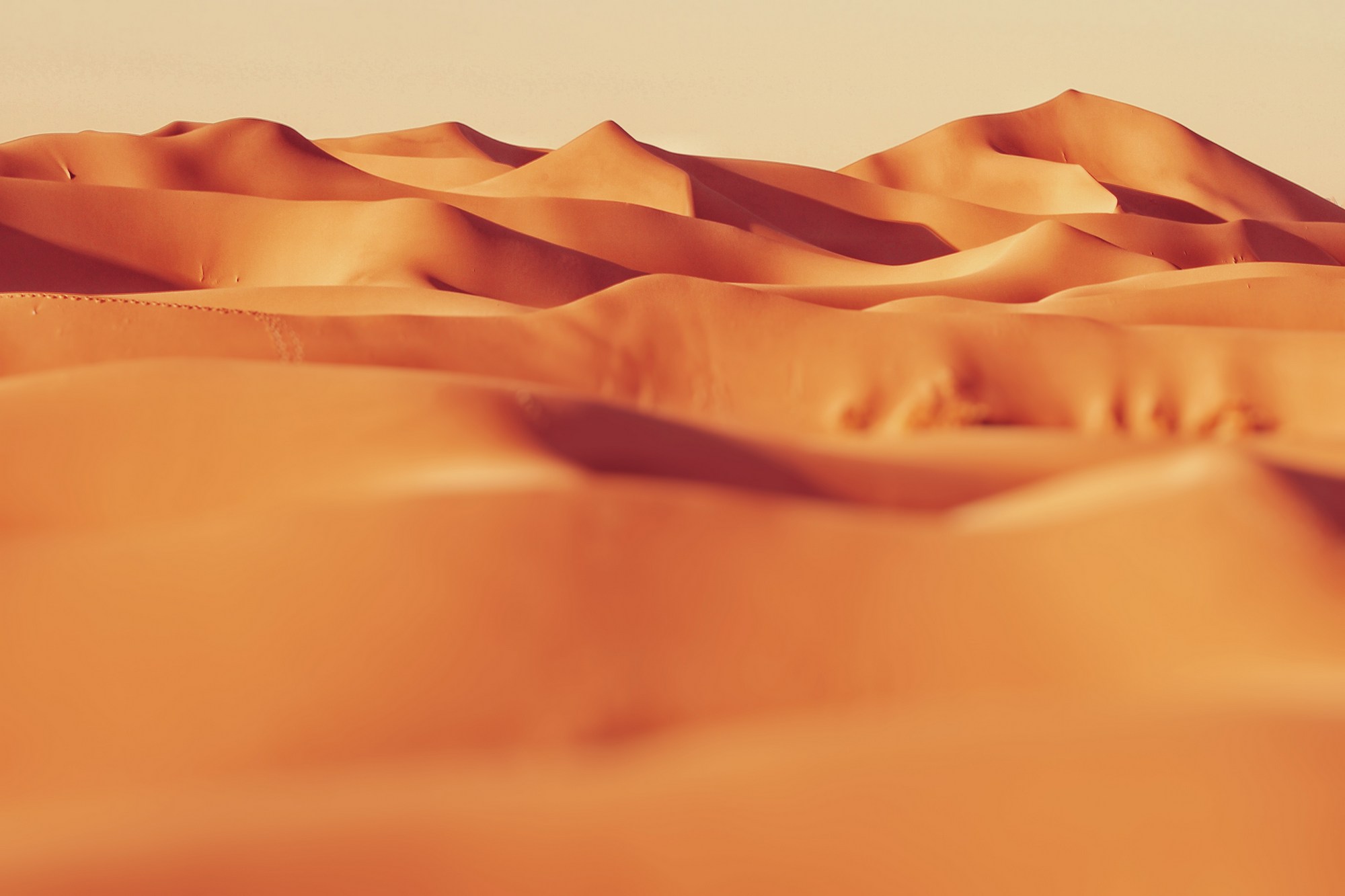 It's like a desert